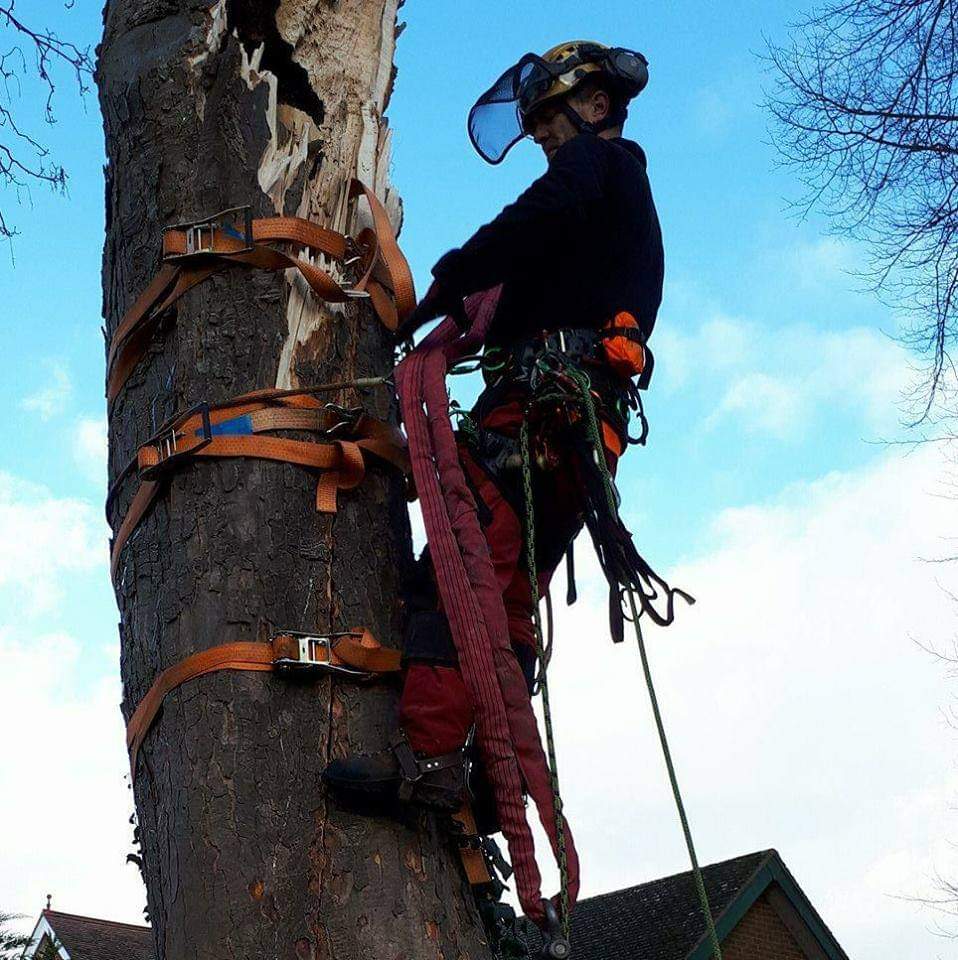 Contract climber