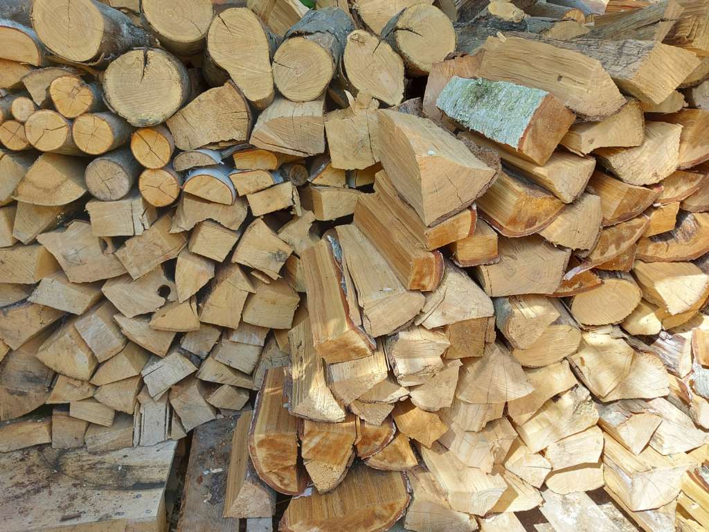 Firewood